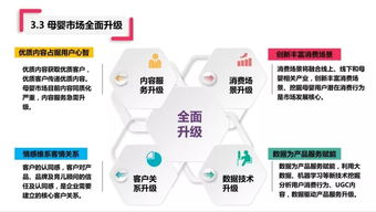消费者研究与互联网数据服务 199it互联网数据中心的角色与价值